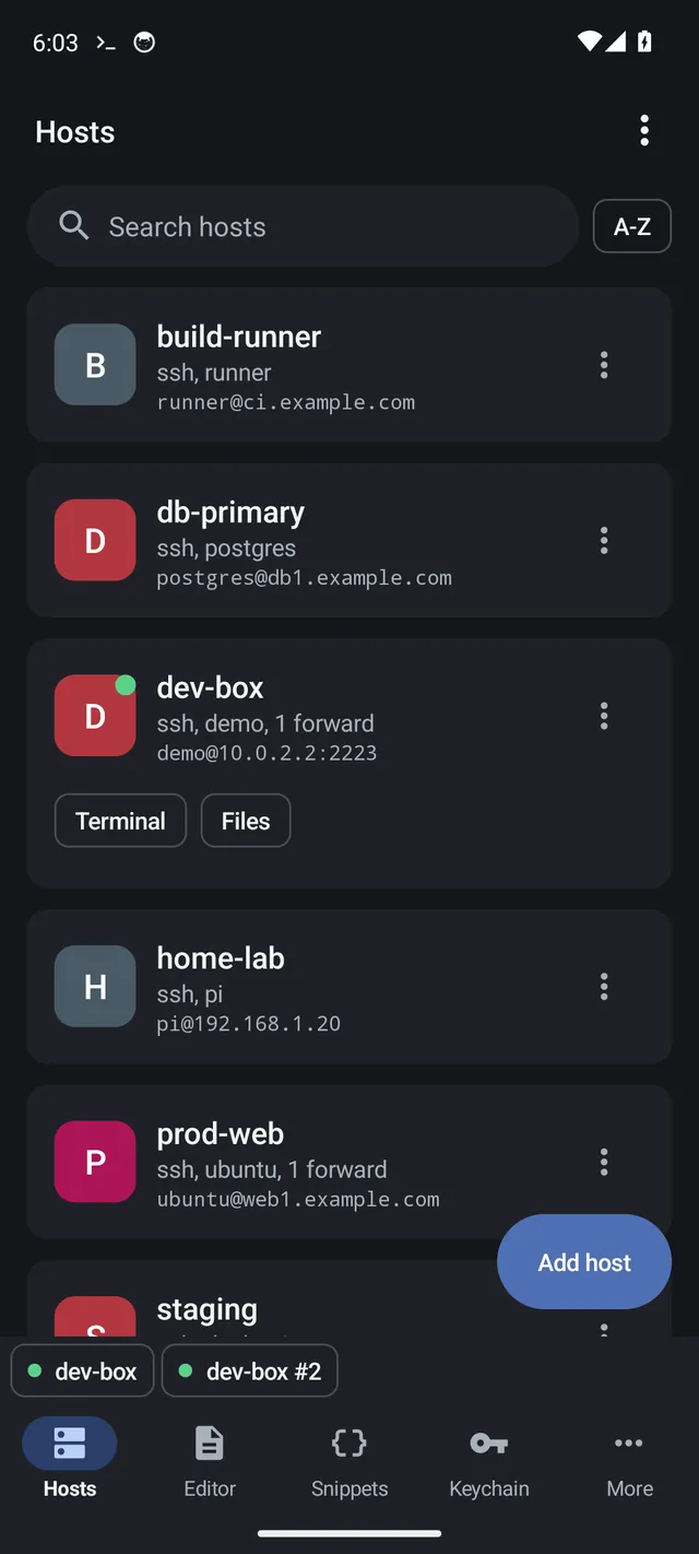 The Hosts screen with a search box and saved servers, each with Terminal and Files buttons