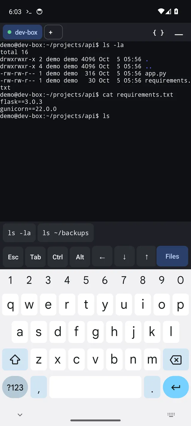 A live SSH session on a server running ls and cat, with command suggestions and an extra keys row above the keyboard