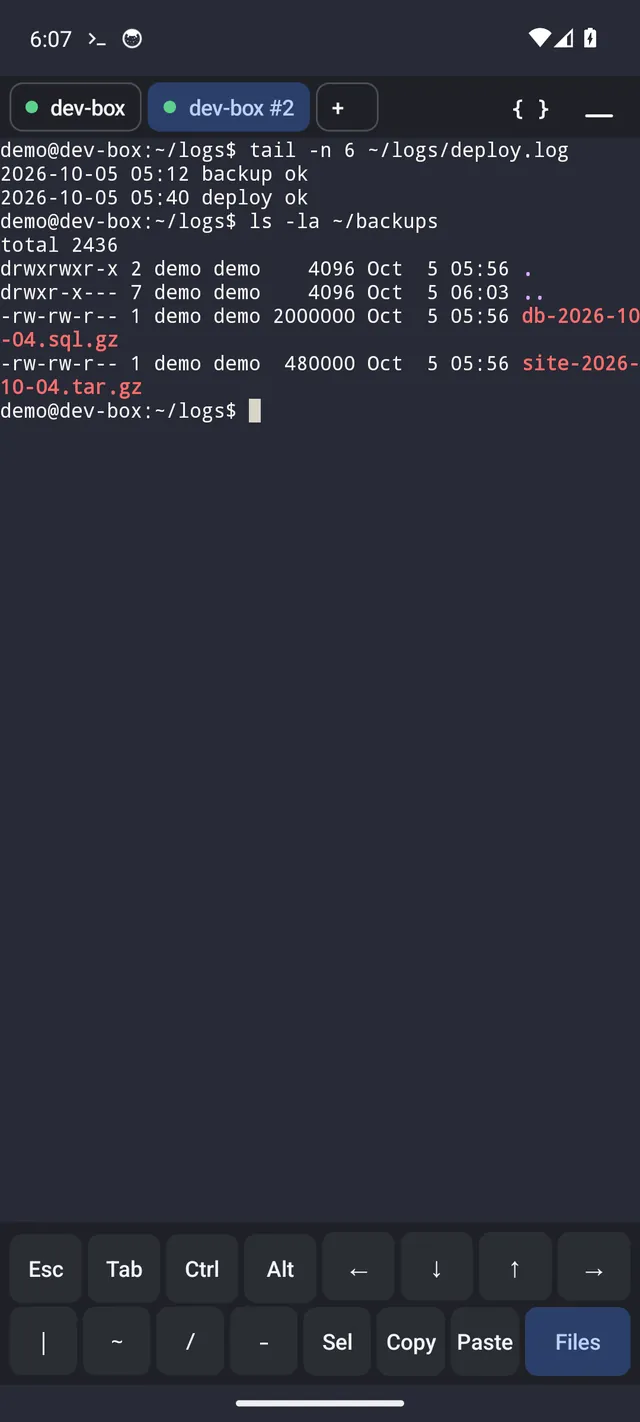 Two shells open on the same server as tabs at the top of the terminal