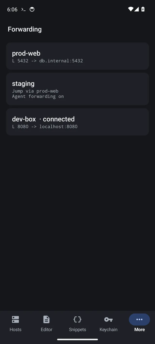 The Forwarding screen listing port forwards and a jump host